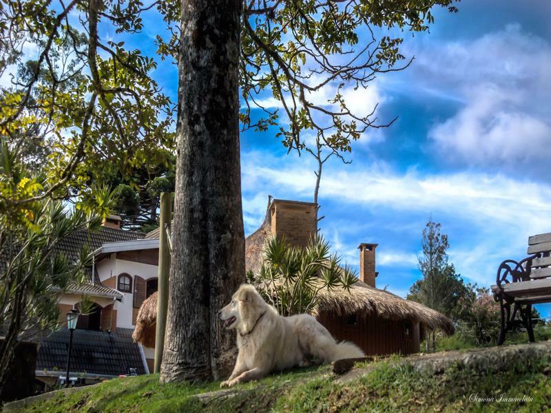 Pousada Marco Polo Campos do Jordão Kültér fotó